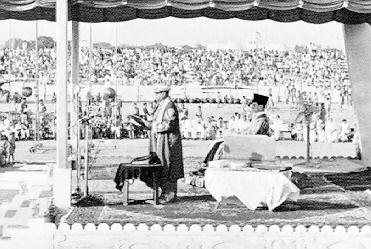 Timeline Photo 5800017j.jpg