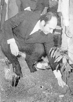 Timeline Photo 6902935v.jpg