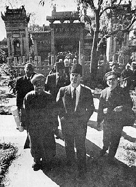 Timeline Photo 8110068v.jpg