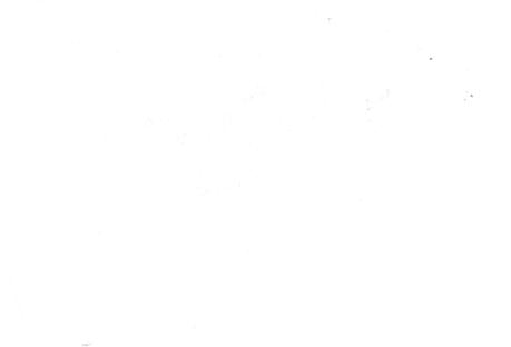 Timeline Photo 8312749i.jpg