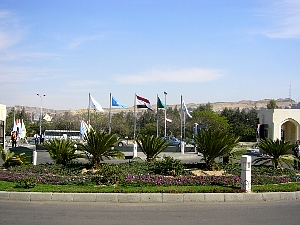 p1000204.jpg