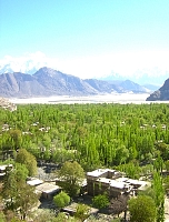 dscn2196.jpg